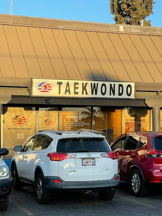 Ace Taekwondo Academy, USA Picture 5