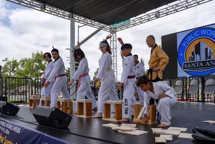 Ace Taekwondo Academy, USA Picture 7