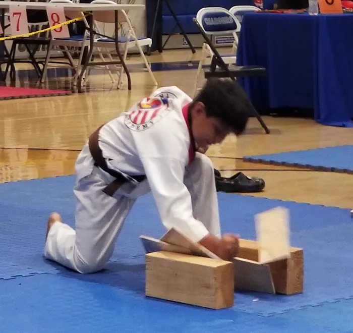 Ace Taekwondo Academy, USA Picture 6