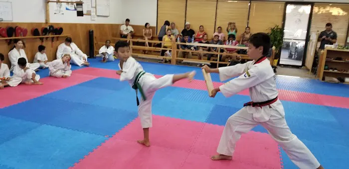 Ace Taekwondo Academy, USA Picture 10