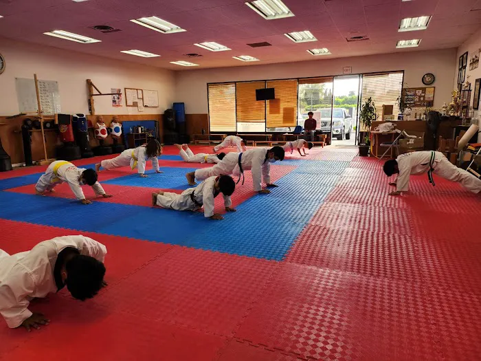 Ace Taekwondo Academy, USA Picture 8
