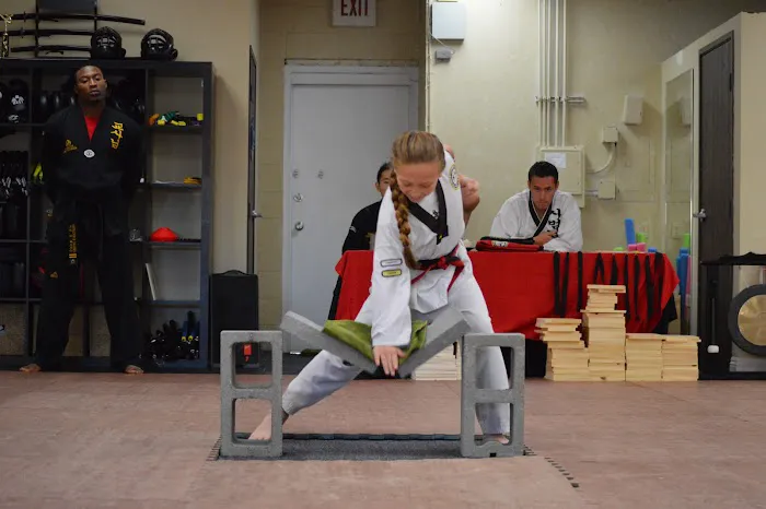 Legacy Martial Arts Training Center Picture 7