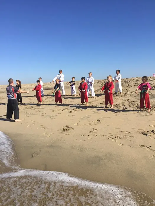 Wushin Martial Arts Picture 5