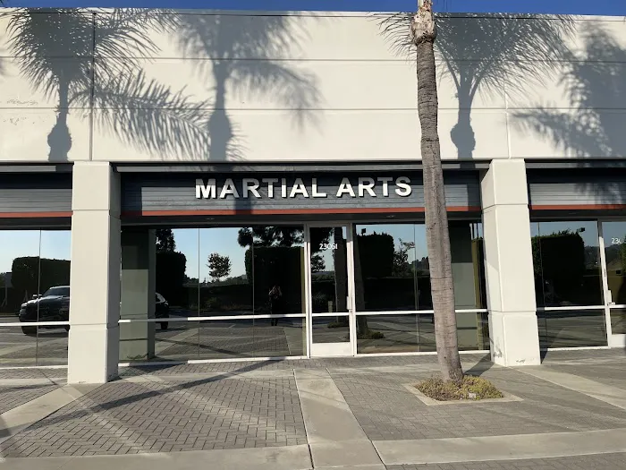 Wushin Martial Arts Picture 6