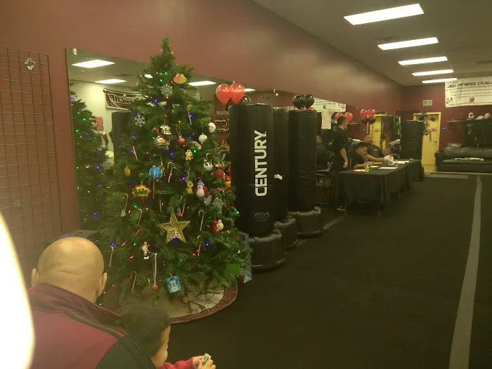 VCMA Villatoro Champion Martial Arts Picture 5