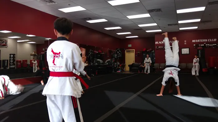 VCMA Villatoro Champion Martial Arts Picture 8