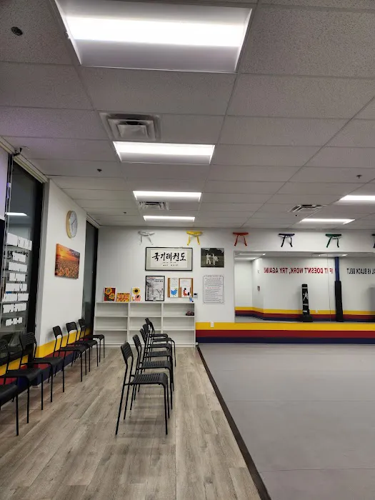 Champion Tae Kwon Do Picture 2