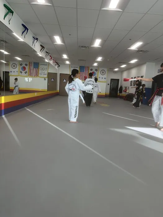 Champion Tae Kwon Do Picture 7