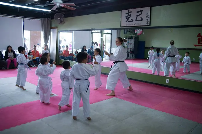 JMAC Karate Picture 3