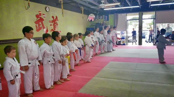 JMAC Karate Picture 7