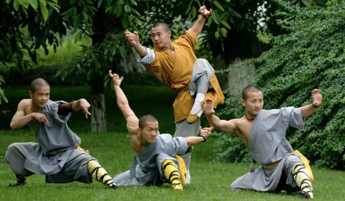 Orange County Shaolin Kung Fu Picture 2