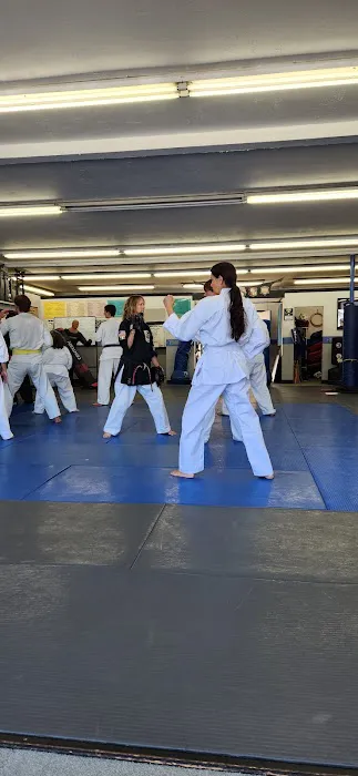 Bob White's Kenpo Karate Studio Picture 7