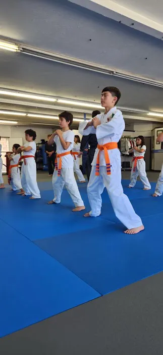 Bob White's Kenpo Karate Studio Picture 8