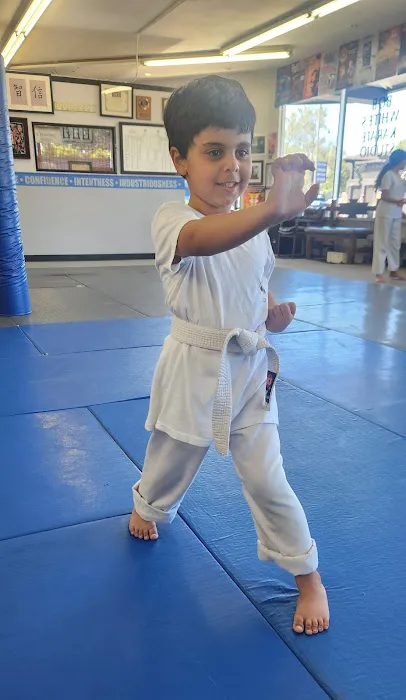 Bob White's Kenpo Karate Studio Picture 6