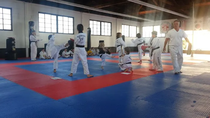 Marshall's Taekwondo Picture 6