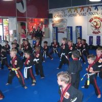 Red Dragon Karate Pomona ico