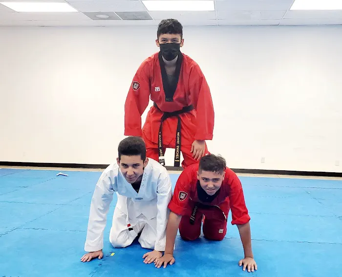 S Martial Arts Picture 3