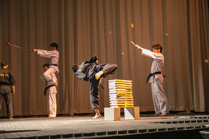 S Martial Arts Picture 6