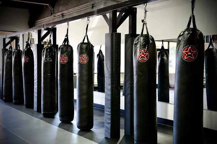 Millennia MMA Chino Picture 9