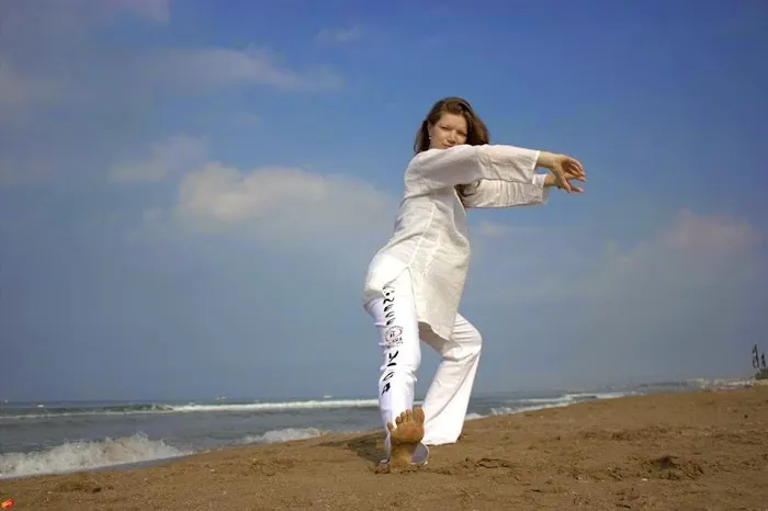 World Pa Kua Martial Arts and Health Picture 2