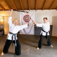 World Pa Kua Martial Arts and Health ico