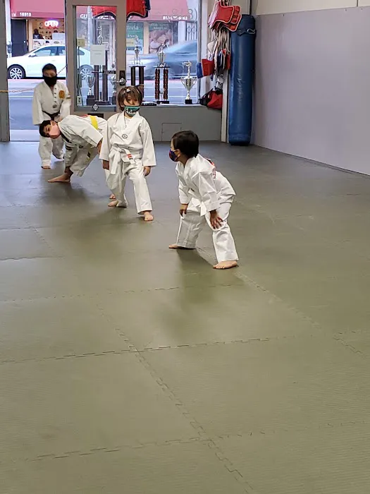 CJ Martial Arts Picture 1