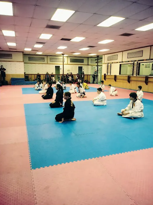 CJ Martial Arts Picture 3