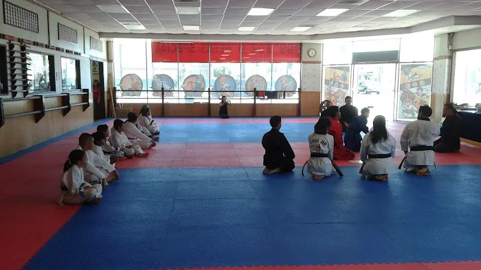 CJ Martial Arts Picture 7