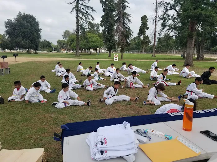 CJ Martial Arts Picture 5