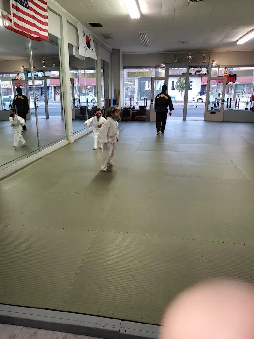 CJ Martial Arts Picture 6