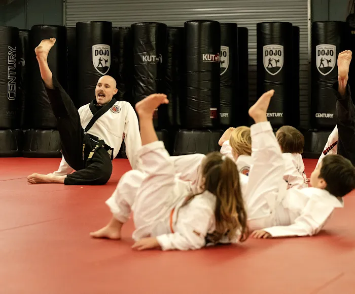 Northridge Dojo Picture 3