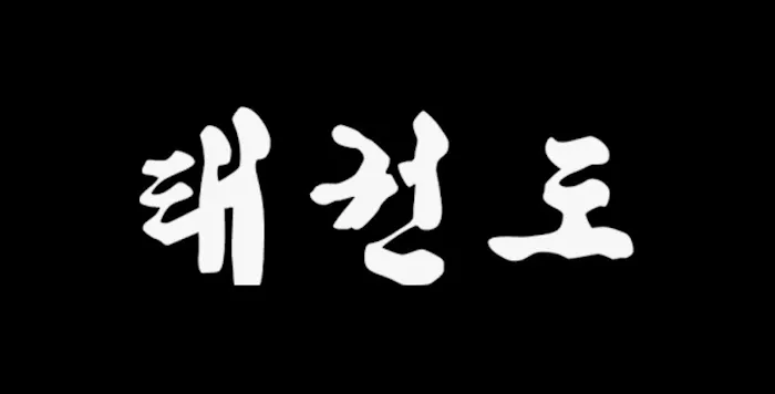 Z Tae Kwon Do Picture 2