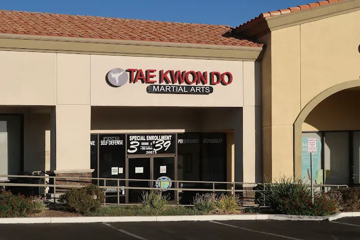 Z Tae Kwon Do Picture 1