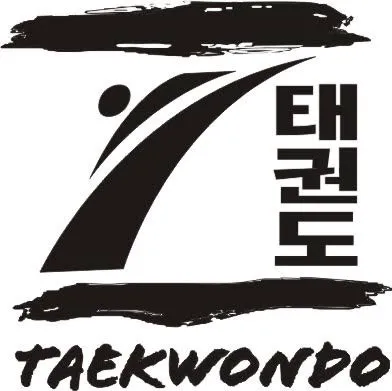 Z Tae Kwon Do Picture 4