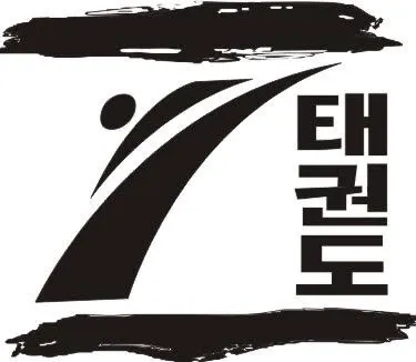 Z Tae Kwon Do Picture 3