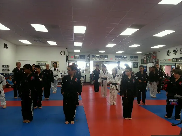 TK Tae Kwon Do (Canyon Country) Picture 3