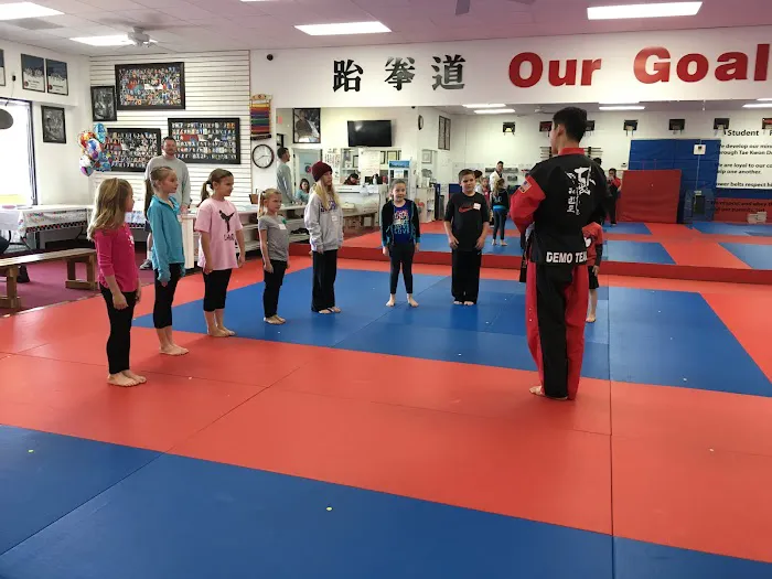 TK Tae Kwon Do (Canyon Country) Picture 9