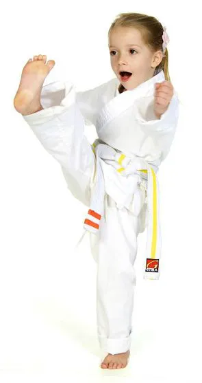 Bryan Hawkins Kenpo Karate Granada Hills Picture 2