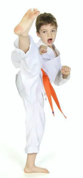 Bryan Hawkins Kenpo Karate Granada Hills Picture 7