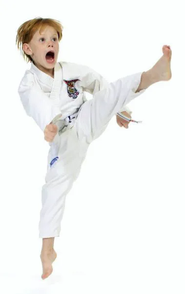 Bryan Hawkins Kenpo Karate Granada Hills Picture 6