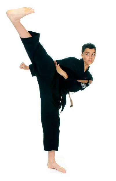 Bryan Hawkins Kenpo Karate Granada Hills Picture 4