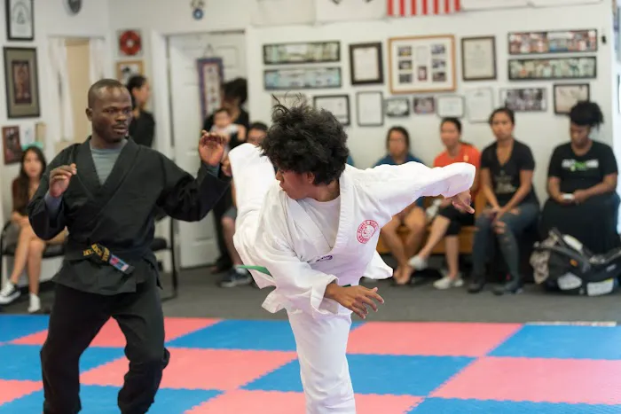 Flying Kick Martial Arts & Fitness Picture 5