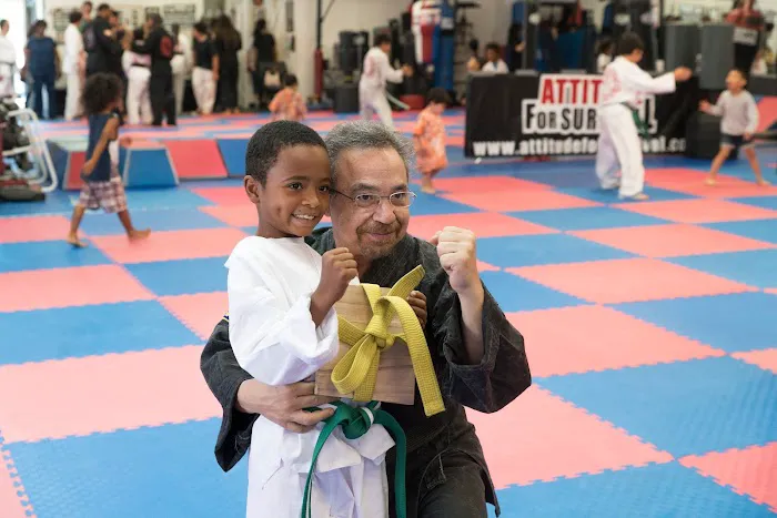 Flying Kick Martial Arts & Fitness Picture 9