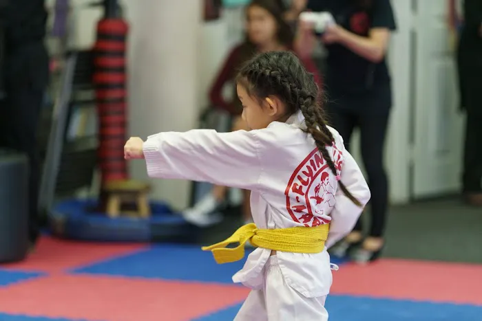 Flying Kick Martial Arts & Fitness Picture 8