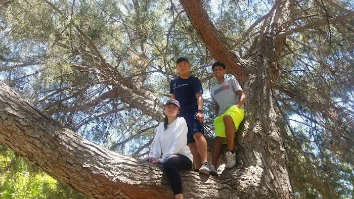 Kings Combat Sports Picture 7