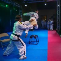 Warrior Taekwondo School ico
