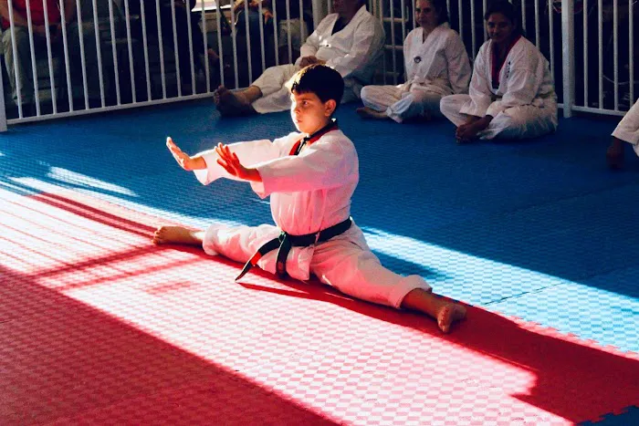 Warrior Taekwondo School Picture 4