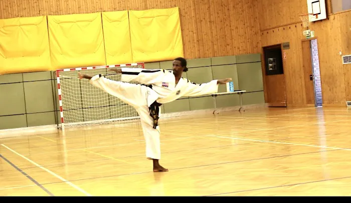 Warrior Taekwondo School Picture 10