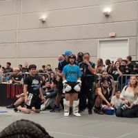 Ace Martial Arts ico