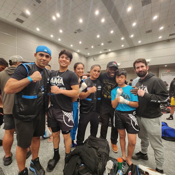 Ace Martial Arts Picture 2